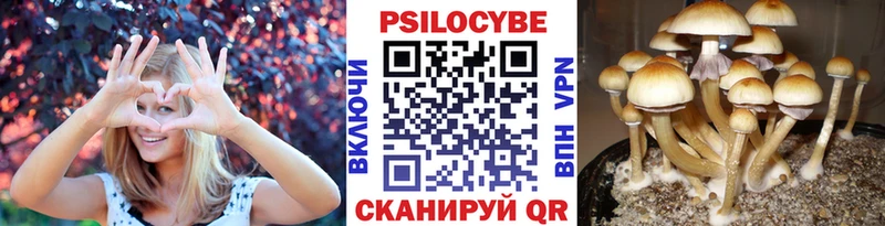Галлюциногенные грибы Psilocybine cubensis  Кировск 
